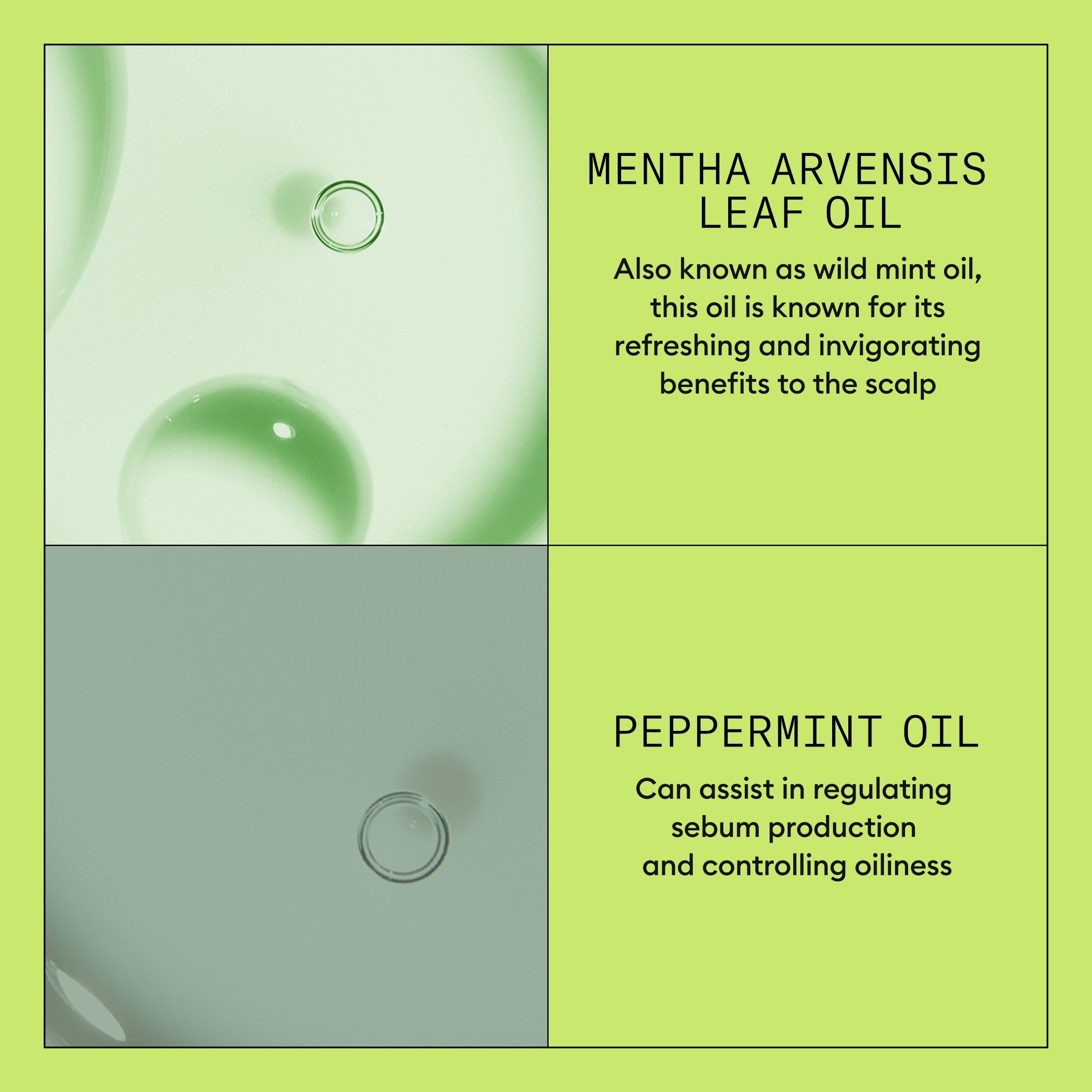 Wella Professional Nioxin Cleanser Conditioner System 2 for Natural Hair with Progressed Thinning