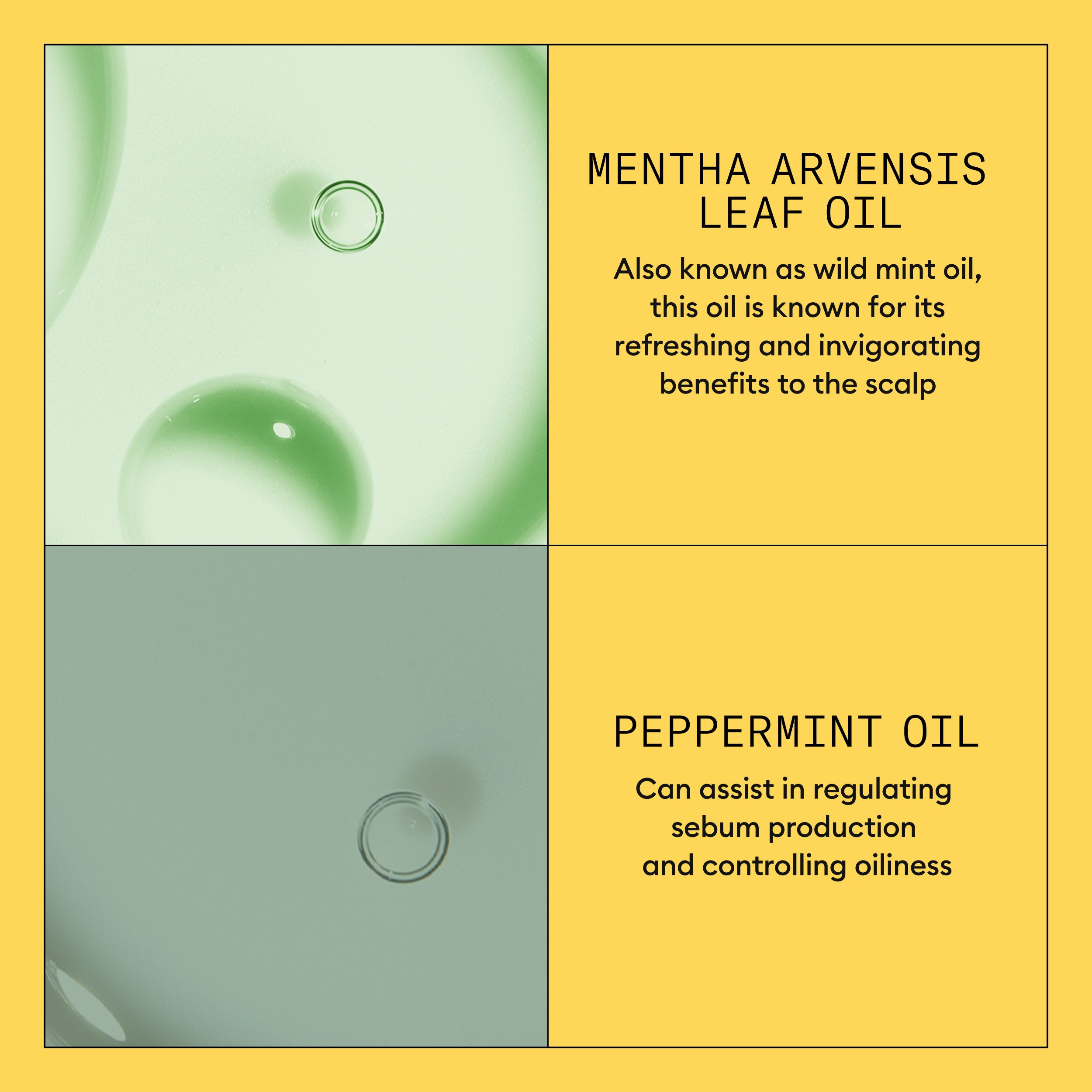 Wella Professional Nioxin Cleanser Conditioner System 1 for Natural Hair with Light Thinning