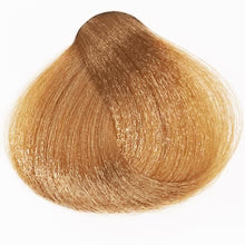 Fanola Professional Permanent Cream Hair Colour 100ml