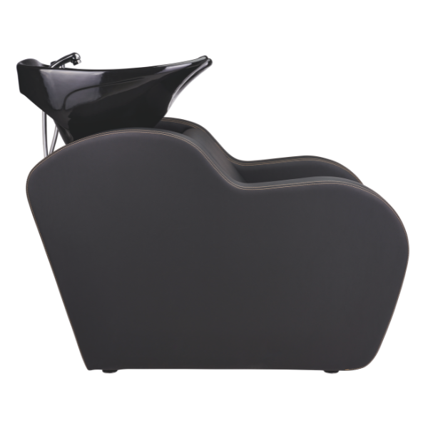 Ayala Holly G Salon Backwash