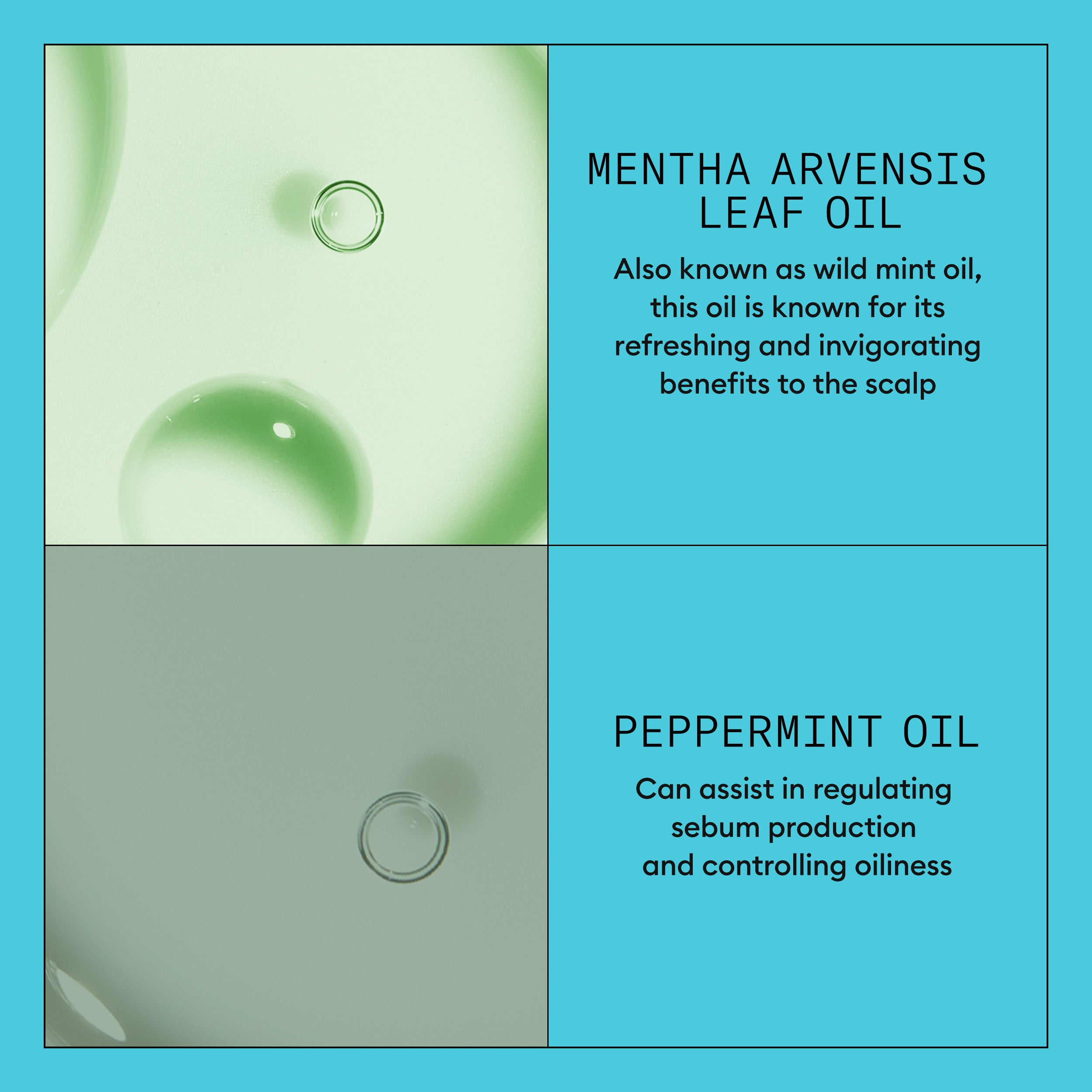 Wella Professional Nioxin Cleanser Conditioner System 3 for Colored Hair with Light Thinning