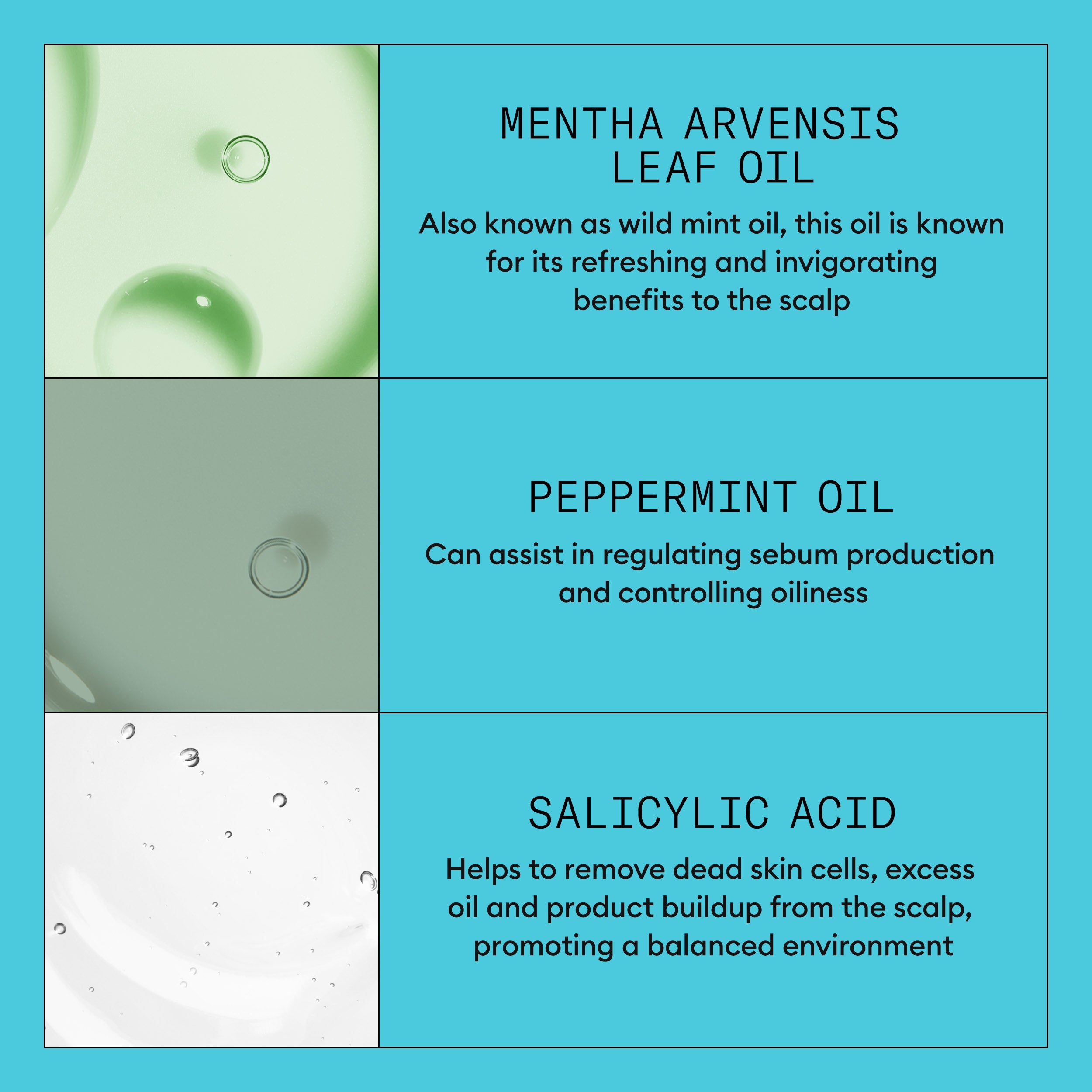 Wella Professional Nioxin Cleanser Shampoo System 3 for Colored Hair with Light Thinning