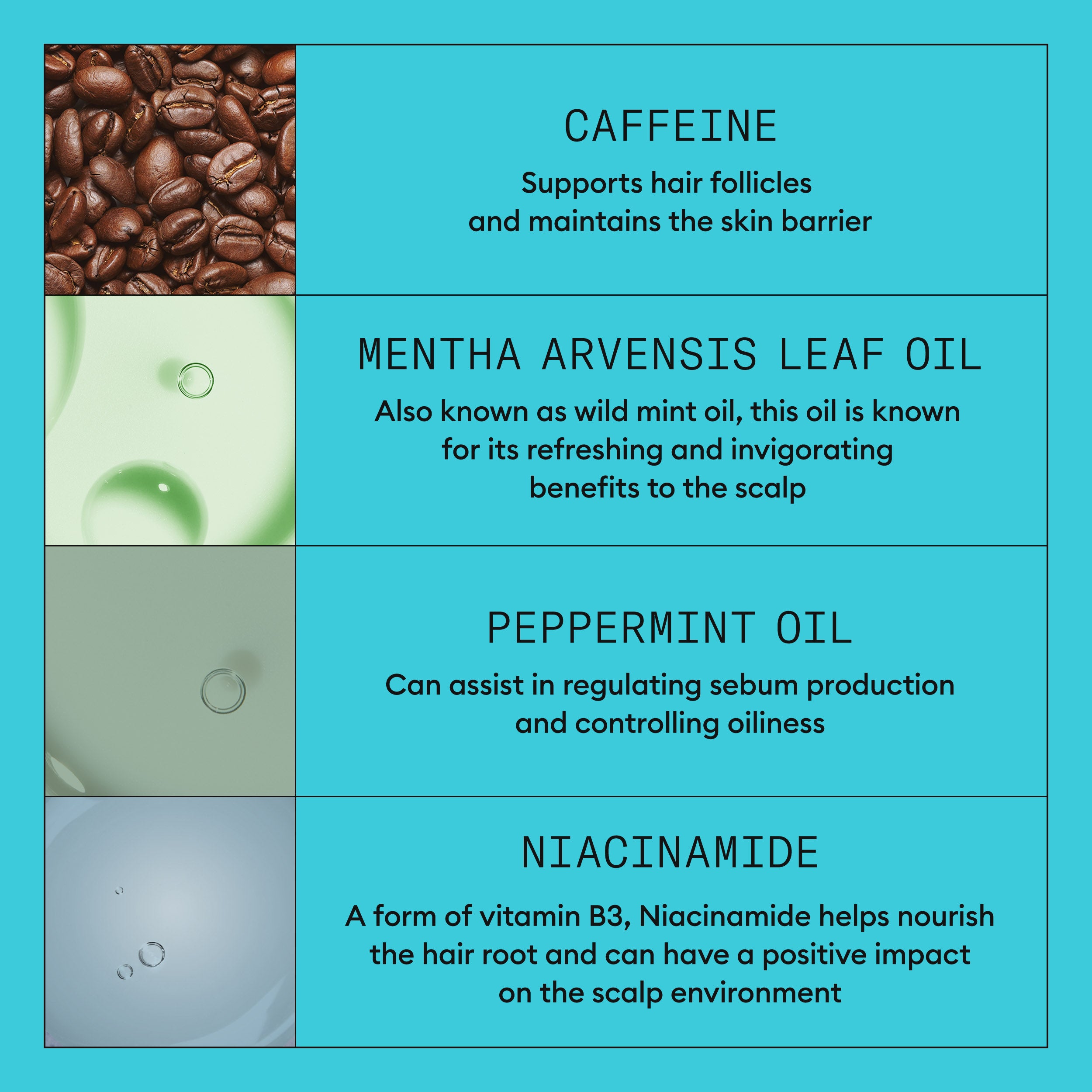 Wella Professional Nioxin Kit System 3 for Coloured Treated  Hair with Light Thinning