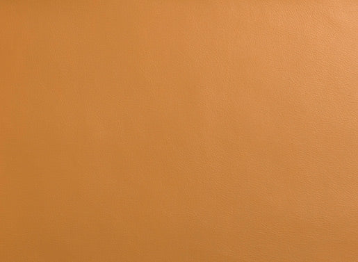 Takara Belmont Yume DX  Washpoint