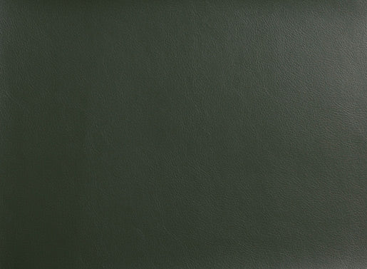 Takara Belmont Yume DX  Washpoint