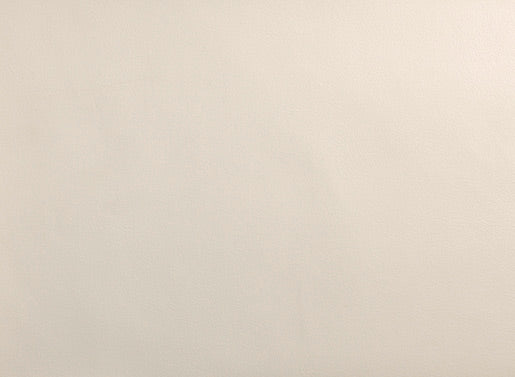 Takara Belmont Yume DX  Washpoint