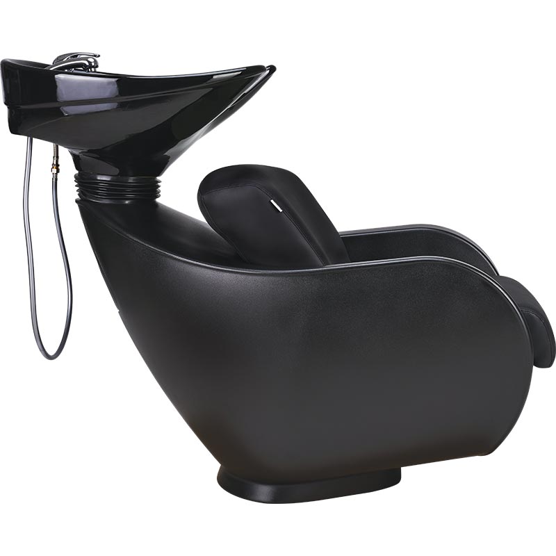 Ayala Thomas Black Salon Backwash Unit
