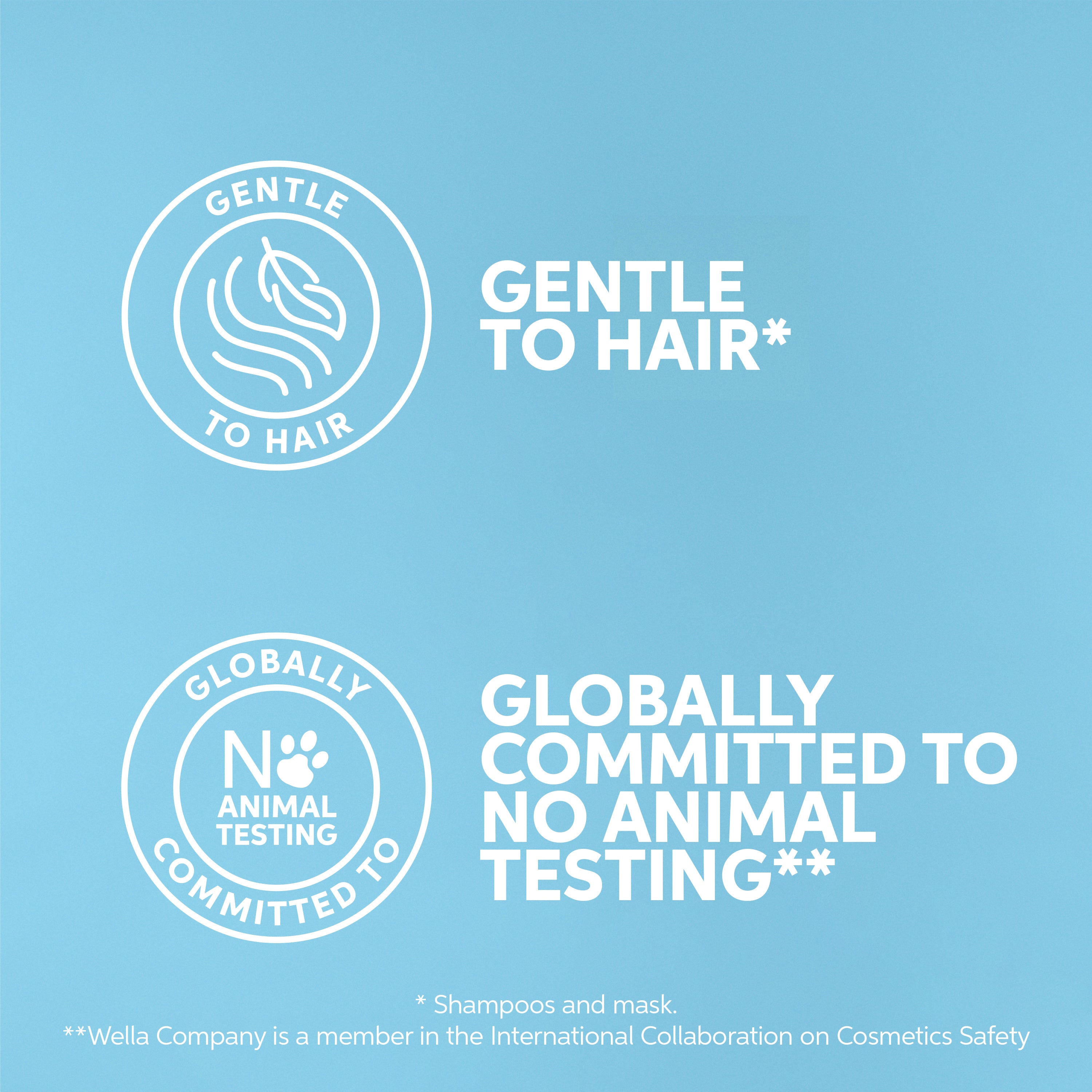 Wella Professionals Invigo Scalp Balance Anti Dandruff Shampoo 300ml