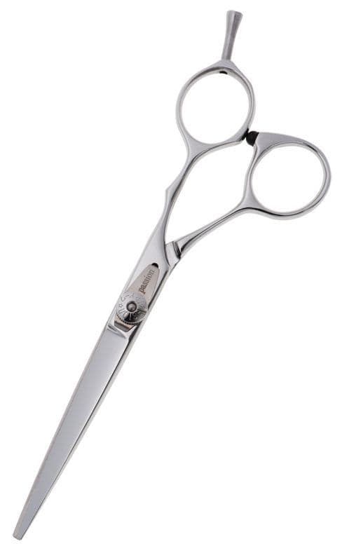 Passion Stainless Avanti Hairdressing Scissor