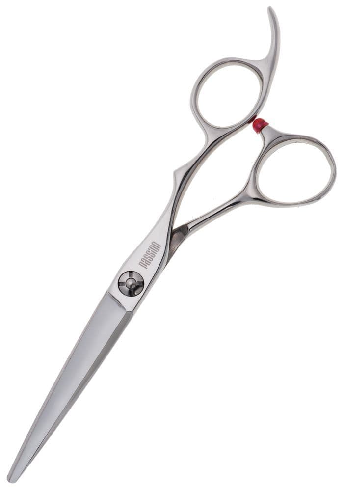 Passion Zeta Hairdressing Scissor