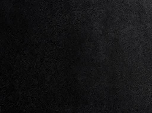 Takara Belmont RS Elite Backwash