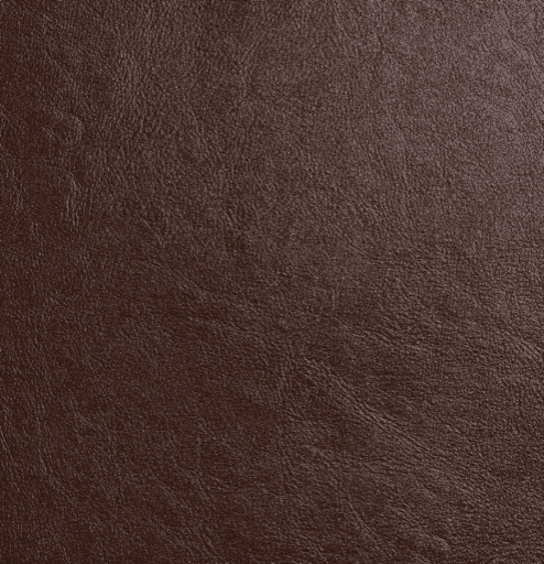 Takara Belmont Vintage Alt Series A1201 Styling Chair